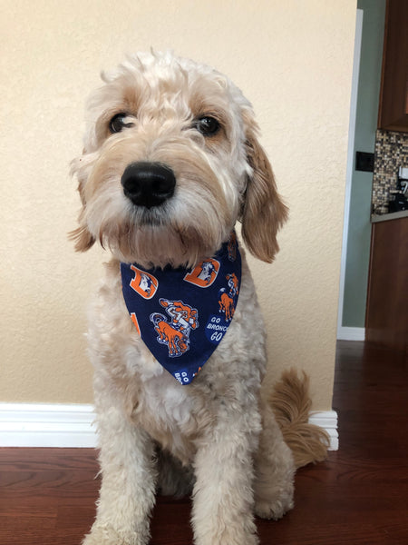 Denver Broncos Retro Logo Over-the-Collar Reversible Dog Bandana ~ Four Sizes, Optional Personalization