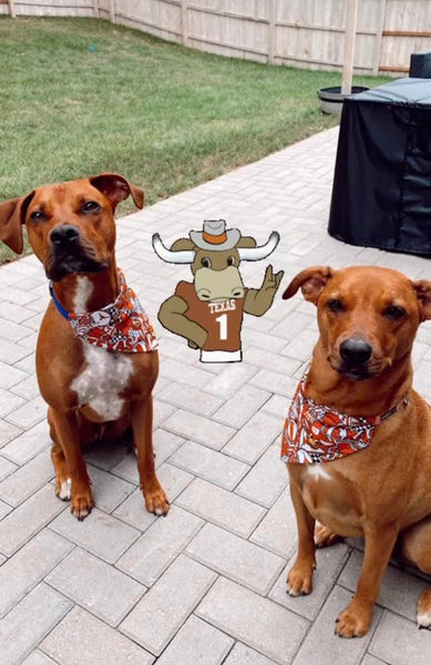 University of Texas Longhorns Over-the-Collar Reversible Dog Bandana ~ Four Sizes, Optional Personalization