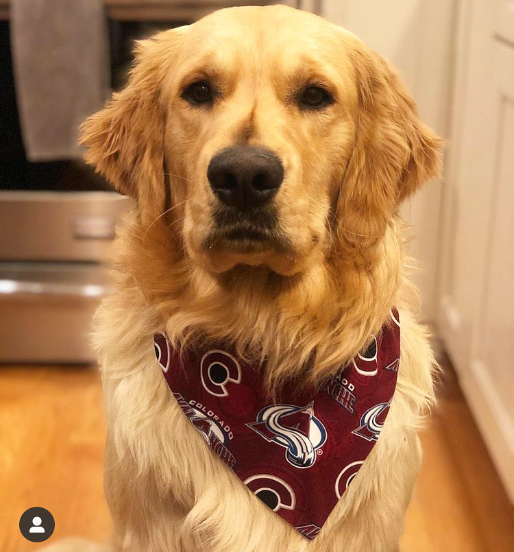  Pets First NHL Colorado Avalanche Collar for Dogs
