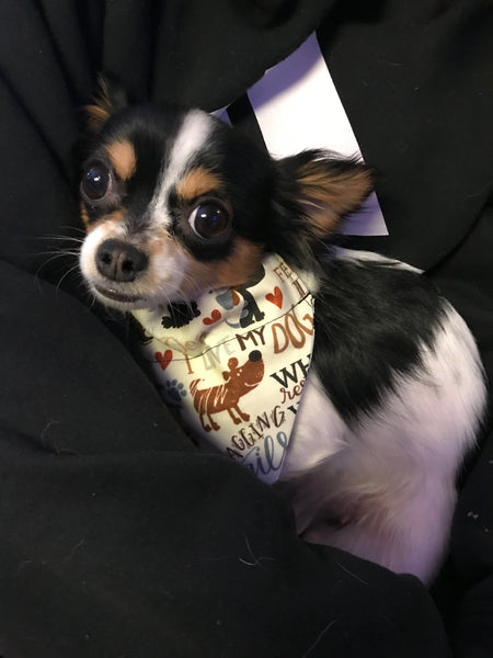 I Love My Dog Over-the-Collar Reversible Dog Bandana ~ Four Sizes, Optional Personalization