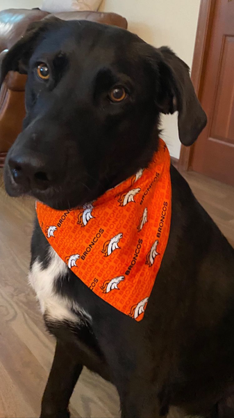Denver Broncos Over-the-Collar Reversible Dog Bandanas ~ Four Sizes, Three Fabric Choices, Optional Personalization